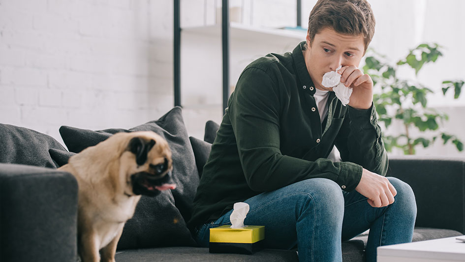 Installing an air purifier is one of the smartest ways to enhance your house’s indoor air quality. Find out more about the three best products. 